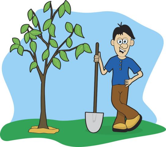 Посадить дерево